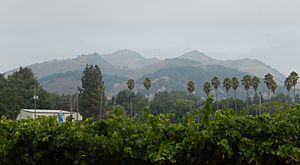 Twin Peaks in Santa Clara County, California.jpg