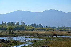 Valle de jose de san martin.jpg