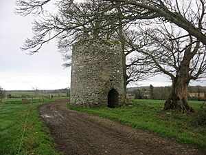 Windmill at Pepperstown, Co. Louth - geograph.org.uk - 1064760