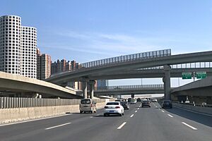 Zhongzhou Avenue and Nongye Expressway Interchange 02