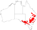 Acacia lineataDistMap542
