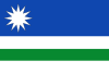 Flag of Renedo de la Vega