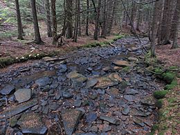 A photograph of a riverbed amidst a dense forest. The contrasts are stark. The riverbead is large, flat black rocks. The riverbank is distinct for being lined with a very green moss. The forest floor is brown with fallen pine needles.