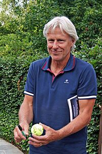 Bjorn Borg en 2014.jpg