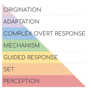 BloomsTaxonomy-Psychomotor