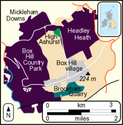 Box hill map
