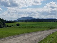 Buffalo from Hardwick Farms Rd 229