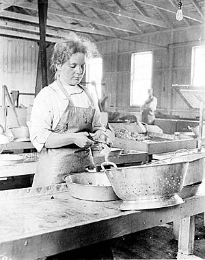 Cannery workers at the Sea Beach Packing Works, Copalis, Washington, 1915 (COBB 1)