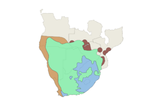 Cape vulture (Gyps coprotheres) IUCN range 2021.svg