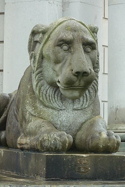 Casino lion