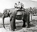 Children on elephant at Jungleland, California, 1962