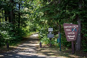 Chippewa National Forest - Social - 2
