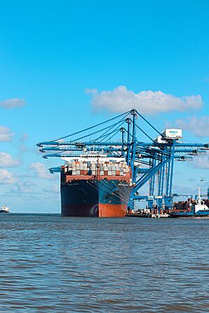 Container Ship at the Hai Phong International Container Terminal 03