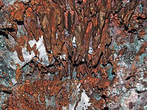 Copper and calcite (Mesoproterozoic, 1.05-1.06 Ga; Pewabic Lode, Upper Peninsula of Michigan, USA) 3 (16679632374)
