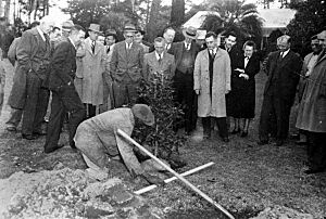 Depew Smith burying a prize racehorse at Killearn Gardens