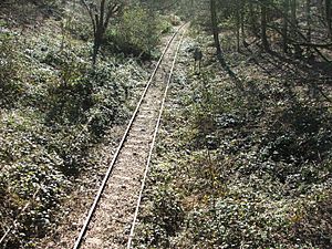Epping Ongar Railway trackbed
