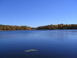 Fall saunders lake.jpg