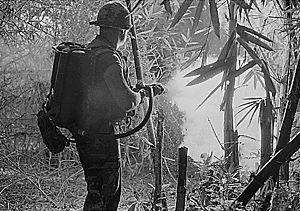 Flamethrower in Vietnam