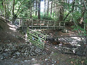 Footbridge in Dyfnant Forest - geograph.org.uk - 568140