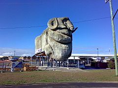 Goulburn Big Merino after being moved 10 June 2007 pic 2