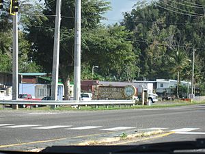 Hato Abajo, Arecibo, Puerto Rico