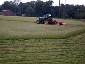 Haymaking - geograph.org.uk - 980046