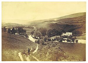 IRELAND(1868) p057 Vale of Clara