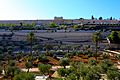 Jerusalem - Mount of Olives - 07 (4261505255)