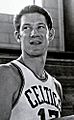 John Havliceck, Boston Celtics, 1960s