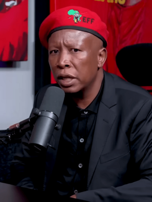 Julius Malema, November 2024 (cropped).png
