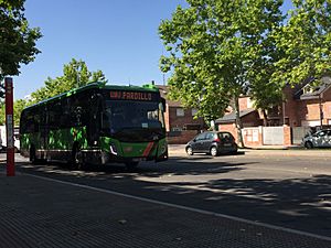 Línea 626a transcurriendo por Camino Real