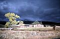 Lamar Buffalo Ranch in landscape