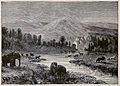 Landscape of the Pliocene epoch - showing environment at the time of men's appearance - drawn by Riou