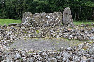 Loanhead of Daviot Stone Circle (48852812236)