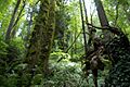 Marquam Nature Park