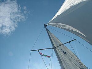 Mast zelikvor