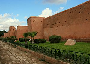 Medina of Marrakech (Nov. 2008)