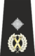 Met DAC Epaulette.svg