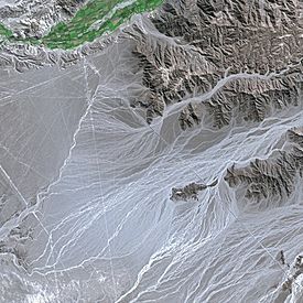 Nazca Lines SPOT 1311