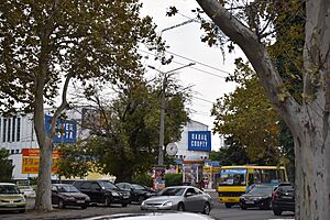 Odessa Palace of Sports at Shevchenko Avenue (01)