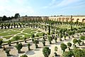 Orangerie du château de Versailles le 11 septembre 2015 - 90