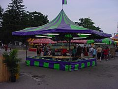 Pingpong Ball And Fish Booth