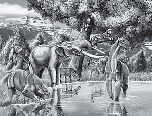 Pleistocene mammals of Chile