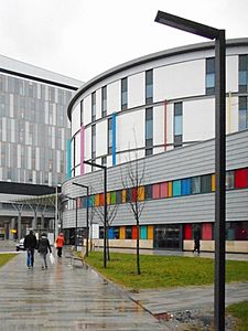 Queen Elizabeth University Hospital and the Royal Hospital for Children (geograph 5722485) (cropped).jpg