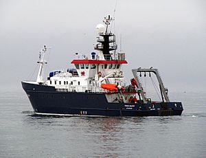 RV 'Prince Madog' in Belfast Lough - geograph.org.uk - 877879