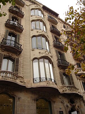Rambla Cat47