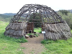 Reconstructed Chumash house 04912