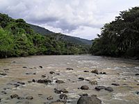 Rio Fonce, san Gil