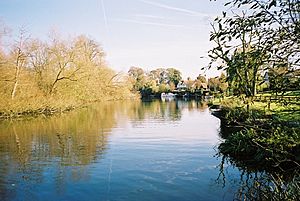 River Thames - Frogmill - geograph.org.uk - 82649