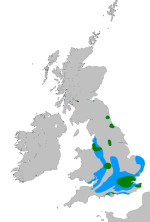 Rose-ringed parakeet range Great Britain